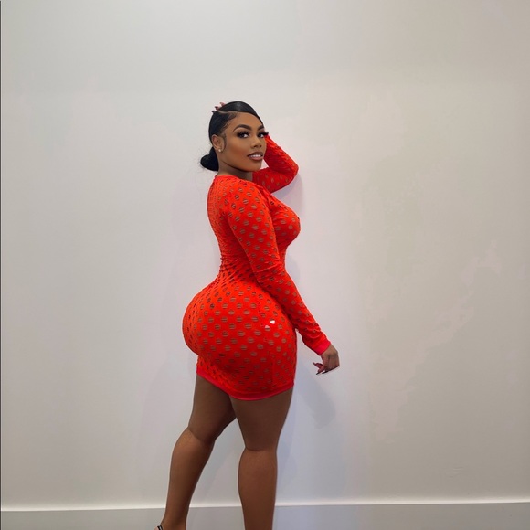 Meet your Posher, Thomasina - Picture 10 of 14